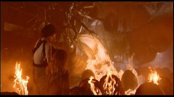 Дезинсектор обнаружил на чердаке десяток осиных гнезд