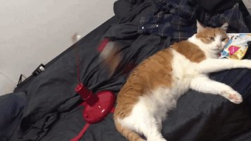 Как я устал от вего этого...