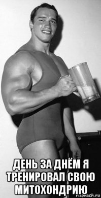 Россия: взлёт заболеваемости связан со сговором фармкомпаний и Минздрава (видео)