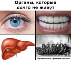 Смешные картинки