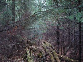 Киев во времена строительства Великой Китайской Стены.