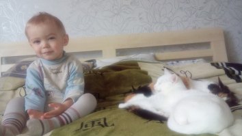 Домашние питомцы пользователей Фишек