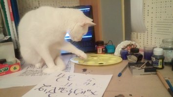 Бусинка обожает нюхать чернила