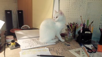 Домашние питомцы пользователей Фишек