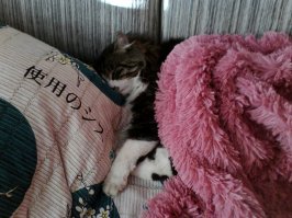 Как говорит мой папик - "А вот и лучшие представители нашего семейства подтянулись!"