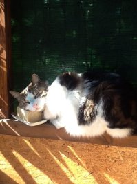 Как говорит мой папик - "А вот и лучшие представители нашего семейства подтянулись!"