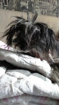 Как говорит мой папик - "А вот и лучшие представители нашего семейства подтянулись!"