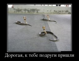 Цитаты о женской дружбе