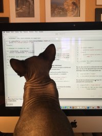 Изучает SWIFT