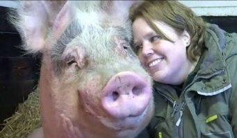 девки таких любят...