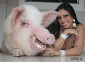 девки таких любят...