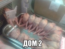 Очередная подборка картинок с подписями