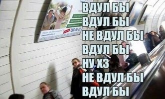 Очередная подборка картинок с подписями