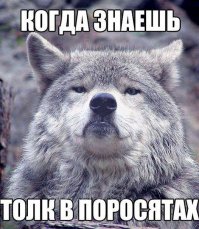 Очередная подборка картинок с подписями