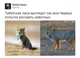  Как легко нарисовать на бумаге оптическую иллюзию 