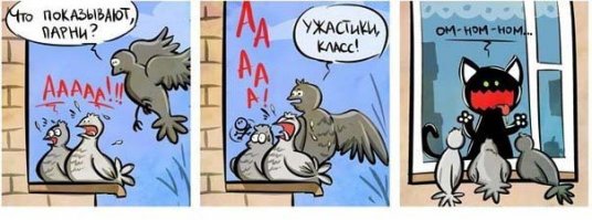 То ли зёв, то ли рёв. Зевающие котики — это страшнее, чем кажется