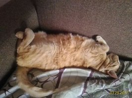 Они сосредоточились на удобстве, и вот что из этого вышло