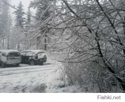 тоже юг Кольского п-ва, вчера 02.06.2017)))