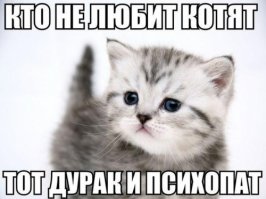 Она каждое утро бежала и встречала меня на стройке