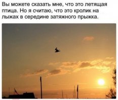 Сокол...... Друг, если правильно его понять