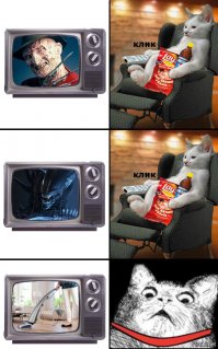 Котопост - это всегда радость