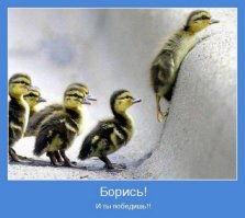 Потому что первые появились мотиваторы с умными надписями, а демотиваторы это порождение системы