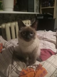 мой мордик))