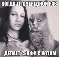 смешные картинки с надписями