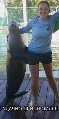 Очередная подборка картинок с подписями