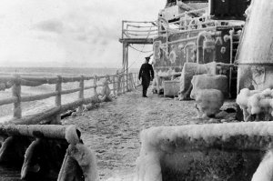 Трудно не согласиться. Но в Арктике эта красота обретала свою специфику)