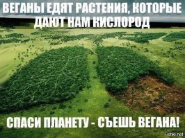 Веганы, но почему вы уничтожаете природу, вашу мать!