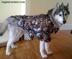 Одна компания из Японии создает самурайскую броню для кошек и собак