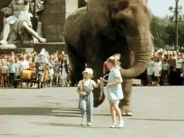 "Боба и слон"(1972). Слон Бобо, единственный африканский слон за всю историю  Ленинградского зоопарка. Кстати, африканские слоны намного труднее поддаются дрессировке, чем индийские.