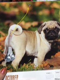 вот теперь норм