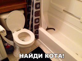 В засаде