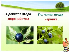 Ел я чернику...ага знаем мы эту чернику;)