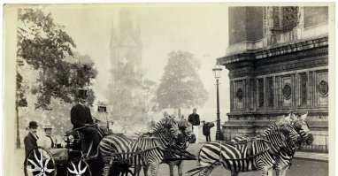 да что ты знаешь о понтах