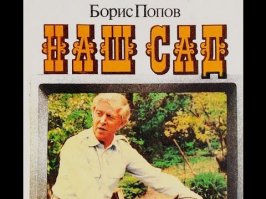 Не хотел, но смотрел