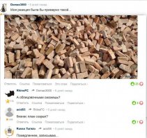 Медведь попытался залезть в дом через окно