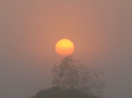 Утренний туман