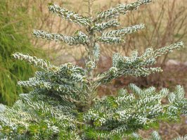 Фотоподборка за 06.06.2017