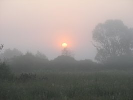 Утренний туман