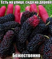 Ээээээх, а у нас в детстве у каждого было "свое" дерево, и не дай бог на нем застать кого-то чужого )))))