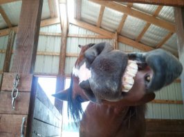 Фотоподборка за 06.06.2017