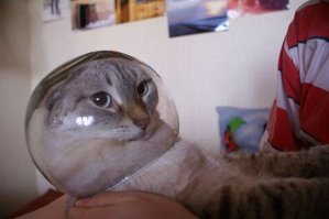 Фотоподборка за 06.06.2017