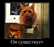 Фотоподборка за 06.06.2017