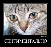 Отец ведет дочку в школу тринадцать лет спустя