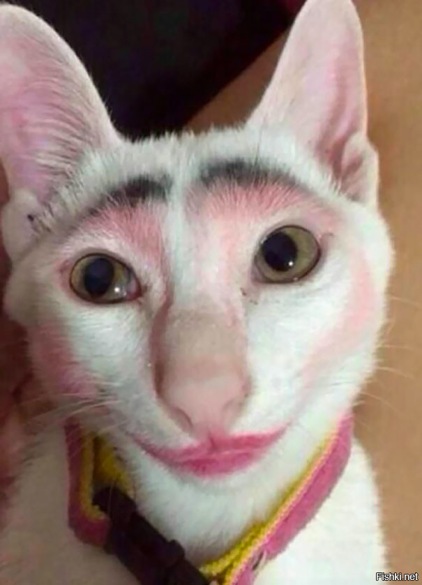 Фотоподборка за 06.06.2017