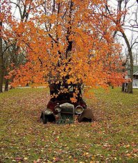 Подборка автомобильных приколов