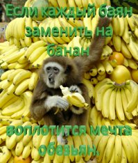 20 остроумных историй из социальных сетей